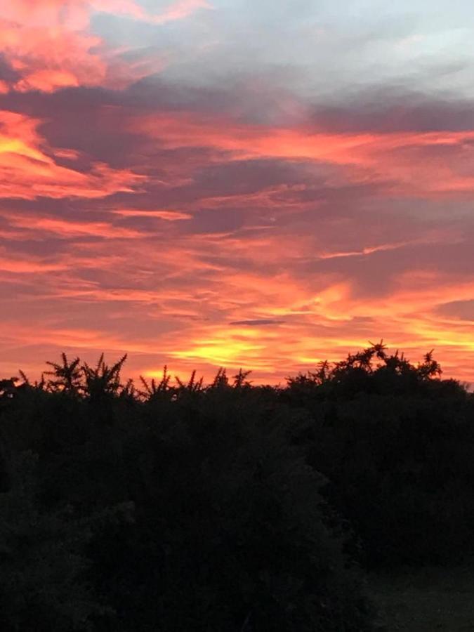New Forest View Больє Екстер'єр фото