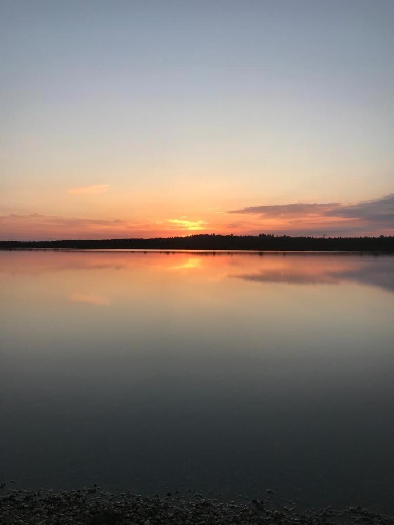 New Forest View Больє Екстер'єр фото
